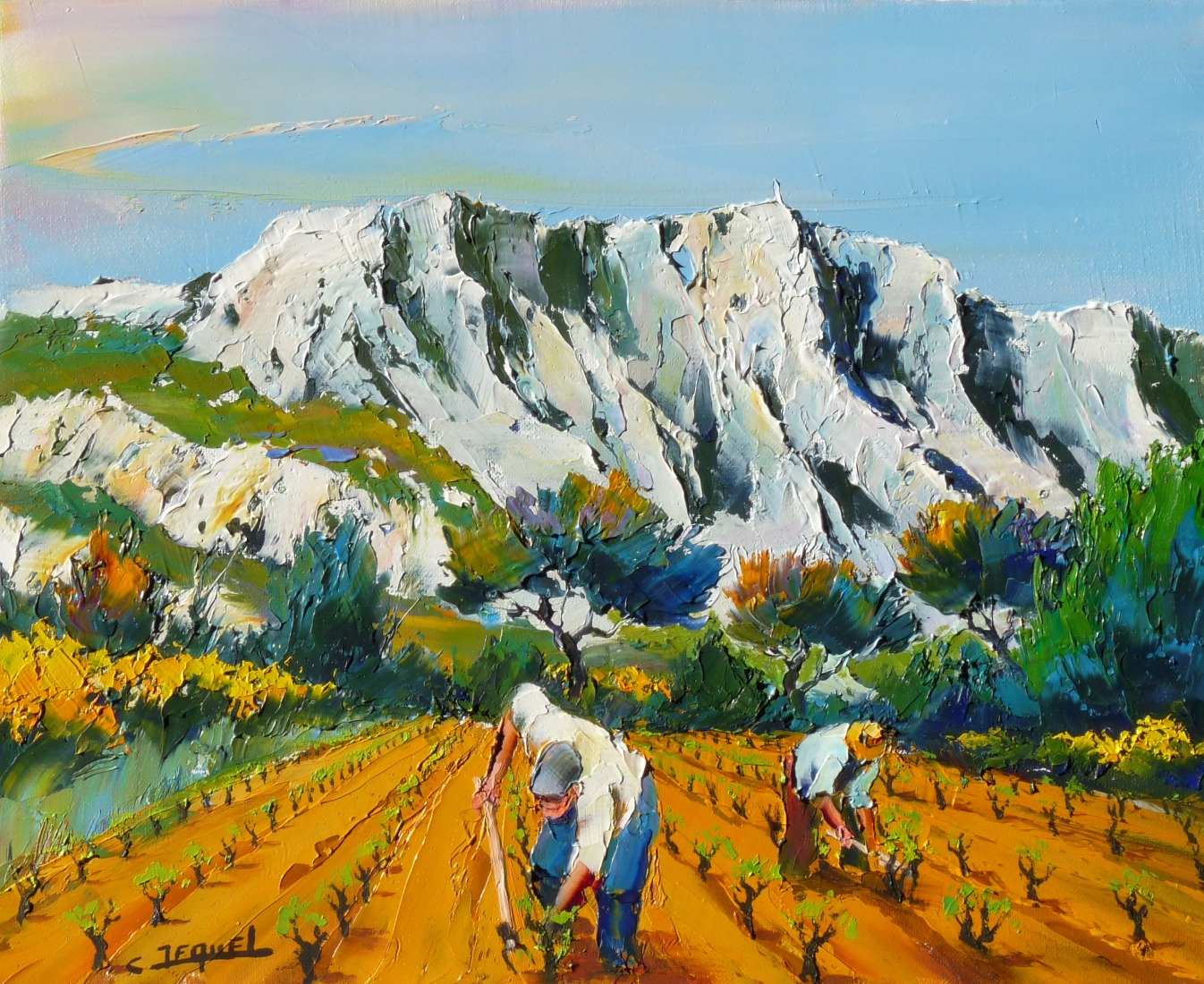 vignes sous la sainte Victoire