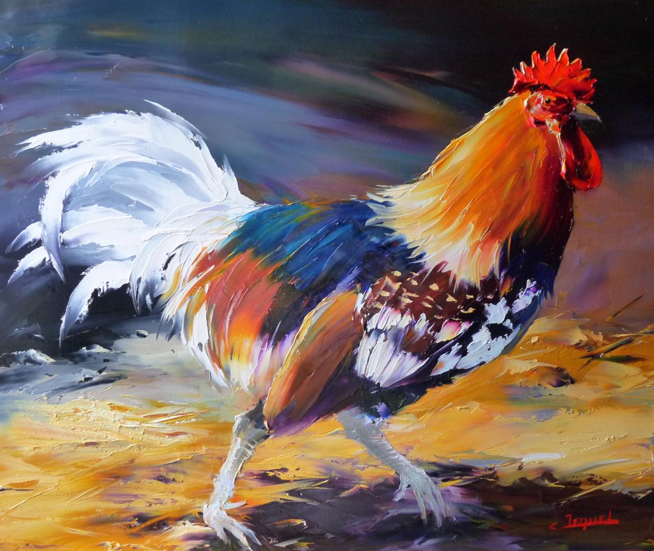 Coq aux plumes blanches